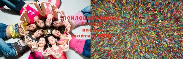 не бодяженный Козельск