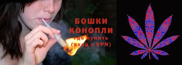 МДПВ Кодинск