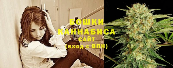 гидропоника Козловка